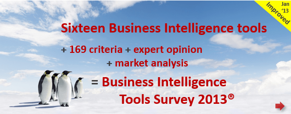 Business Intelligence tools Survey