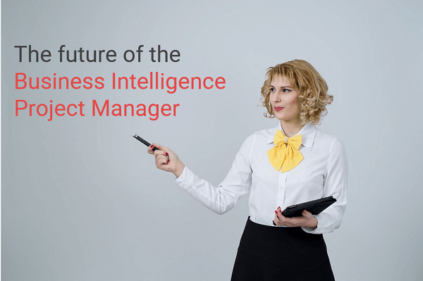 Business Intelligence Project Manager