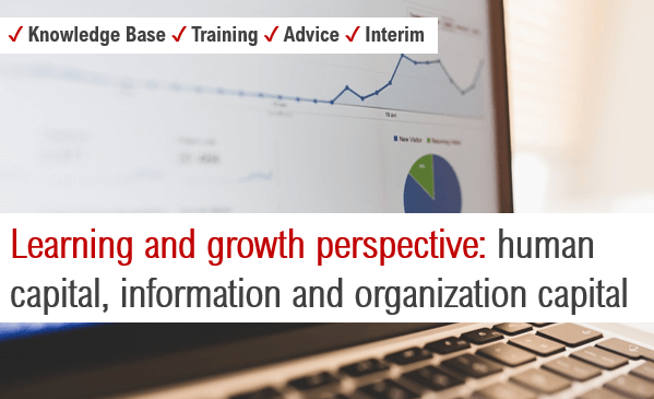 learning and growth perspective