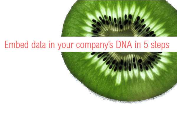 Embed data in your company's DNA in 5 steps