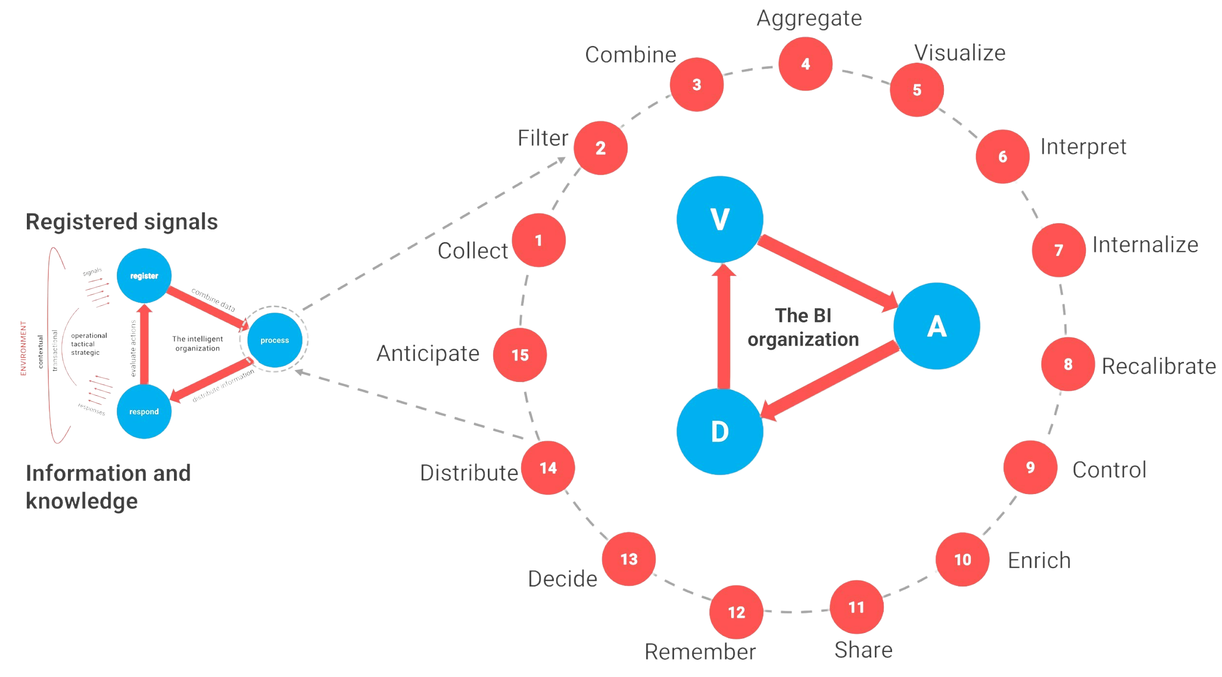 BI cycle