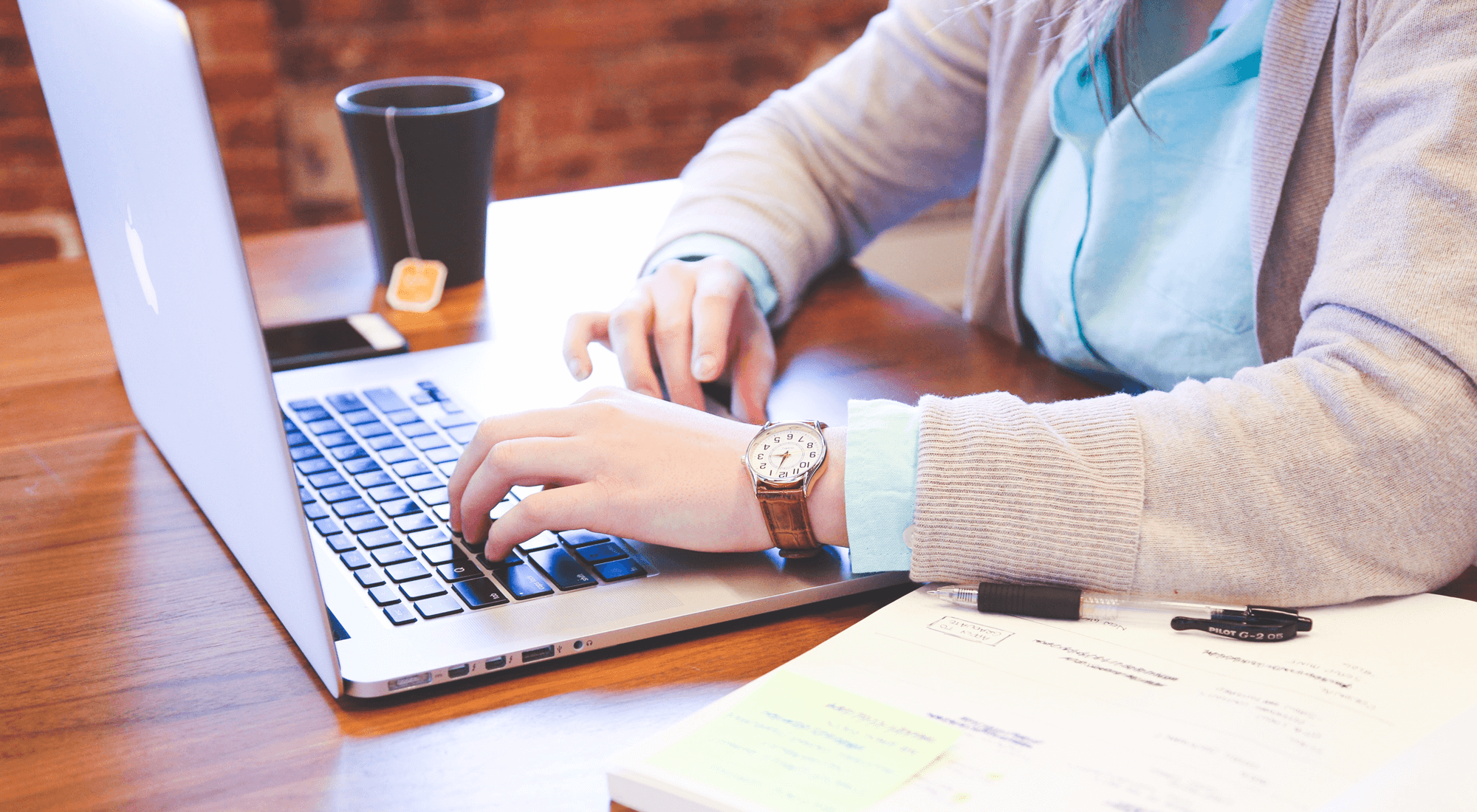 Business Intelligence Project Manager