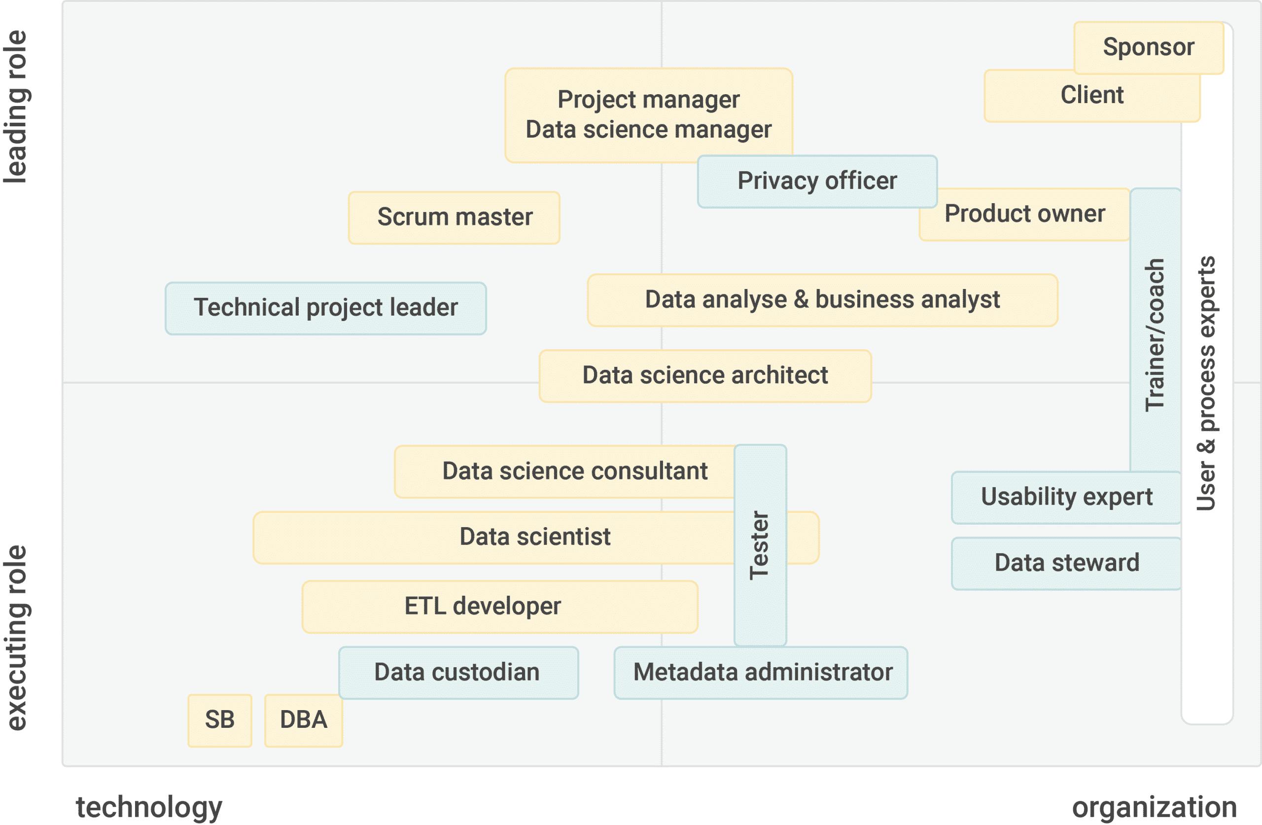 Business intelligence roles and competences