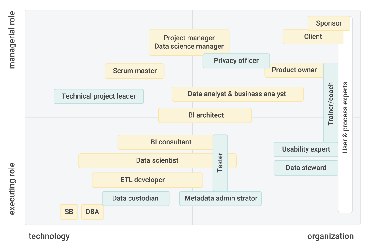 Illustration of BI roles