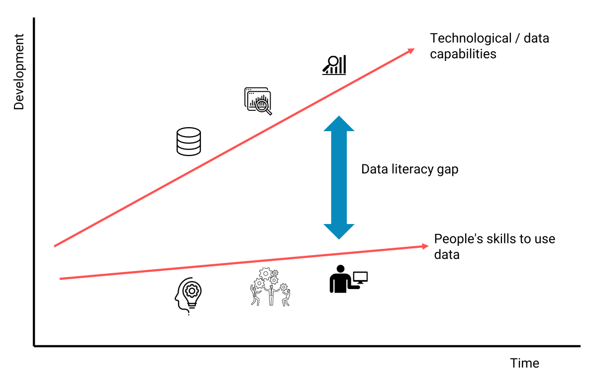 Data literacy gap