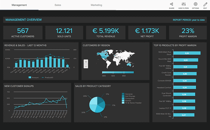 datapine BI in action