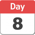 day 8