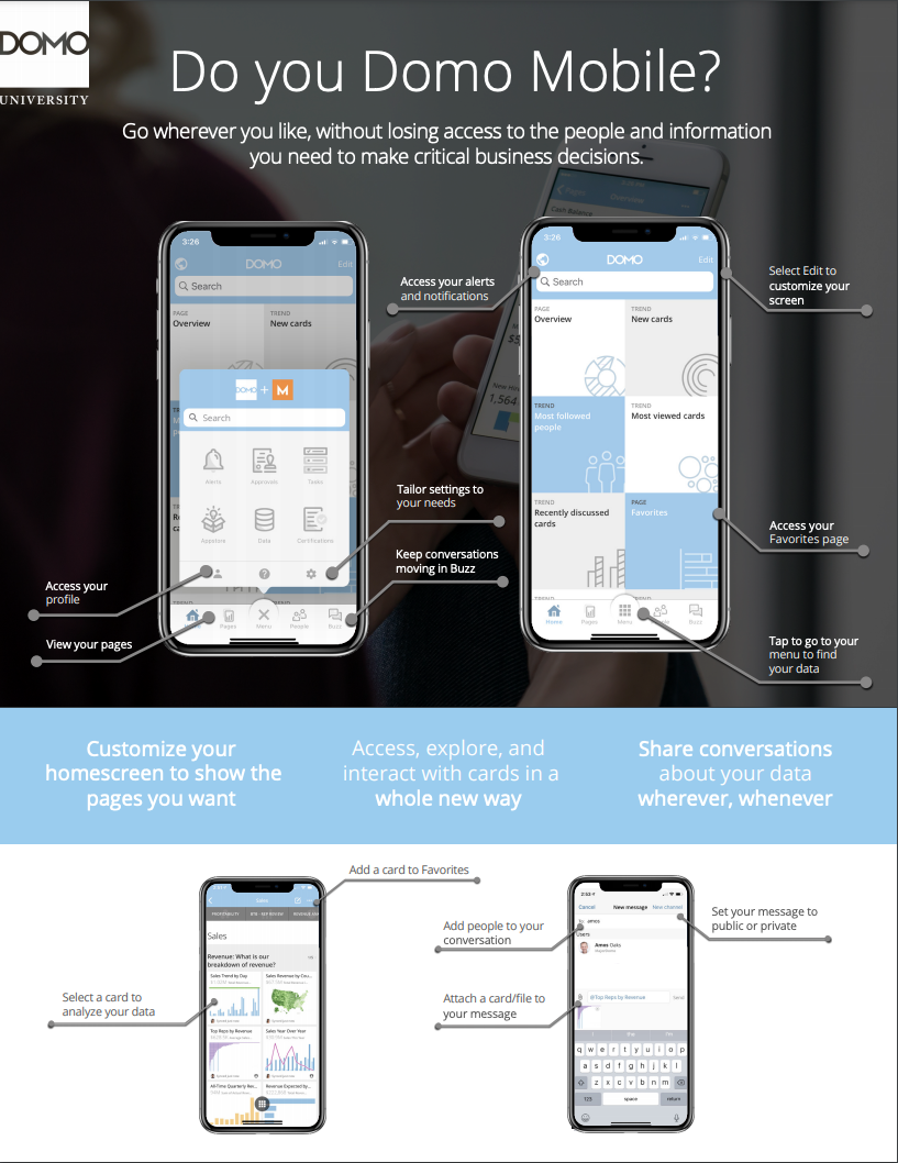 Screen shot of Domo Mobile software.