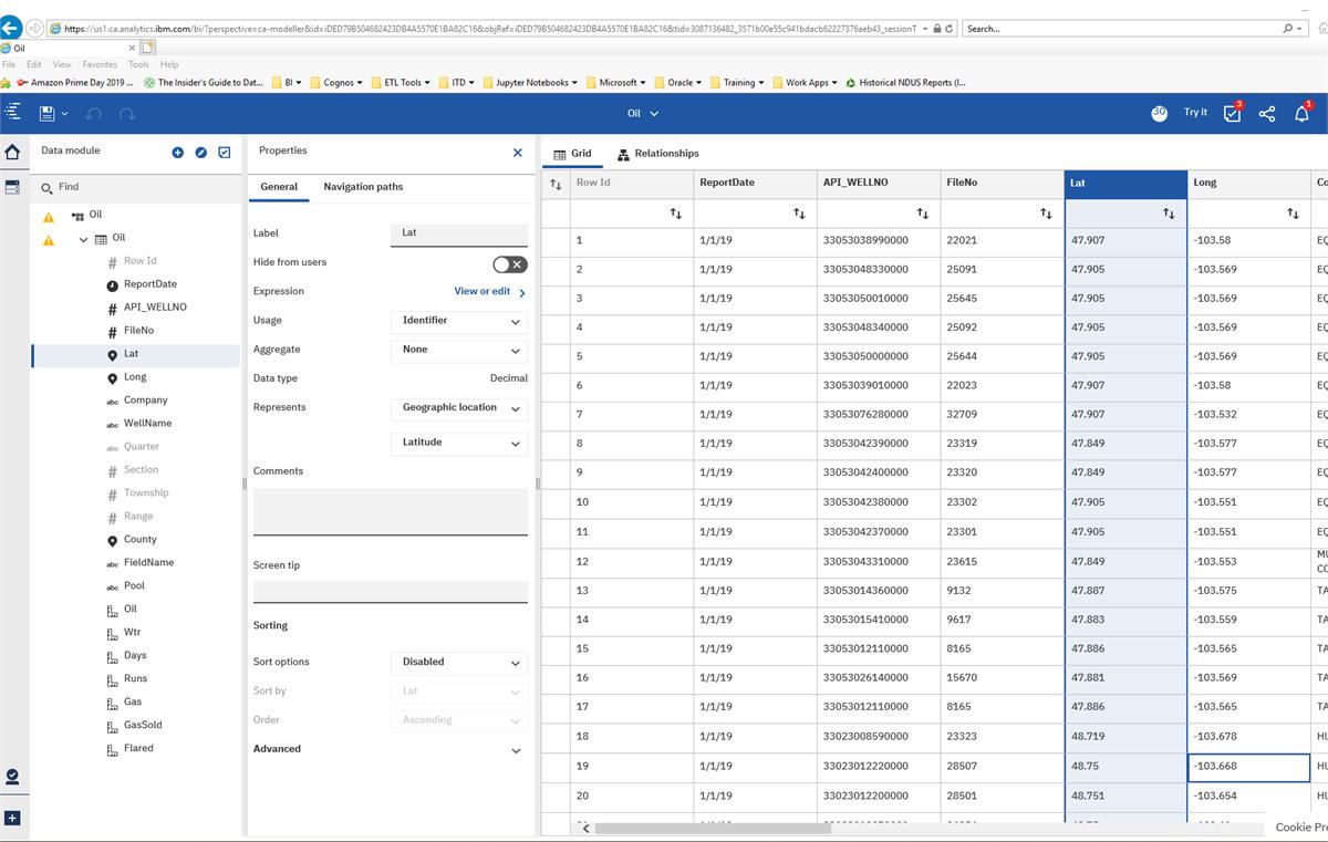 IBM Business Analytics in action