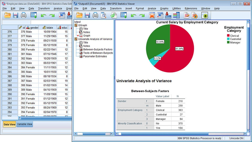 IBM SPSS