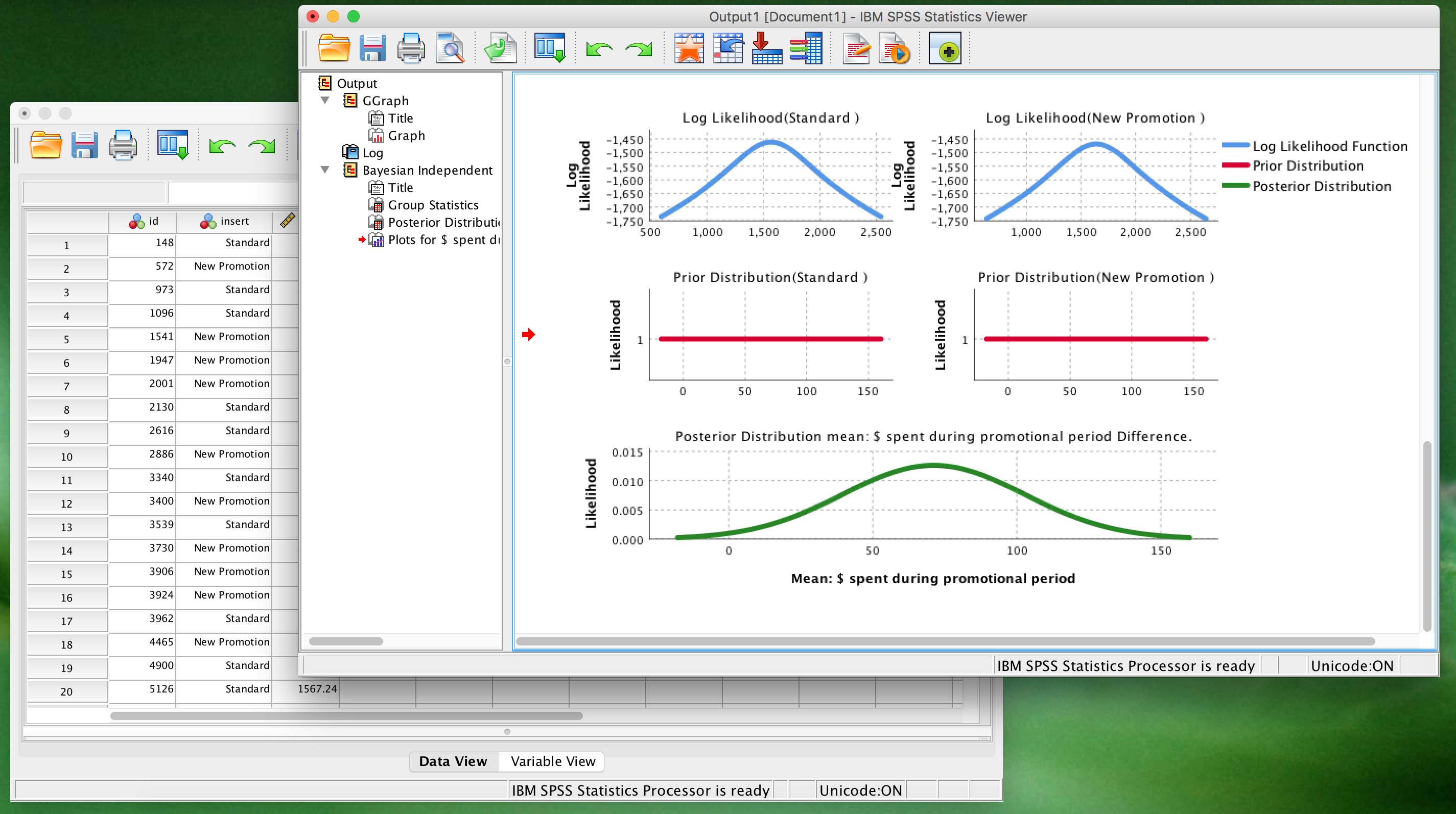 Screen shot of IBM SPSS Statistics software.
