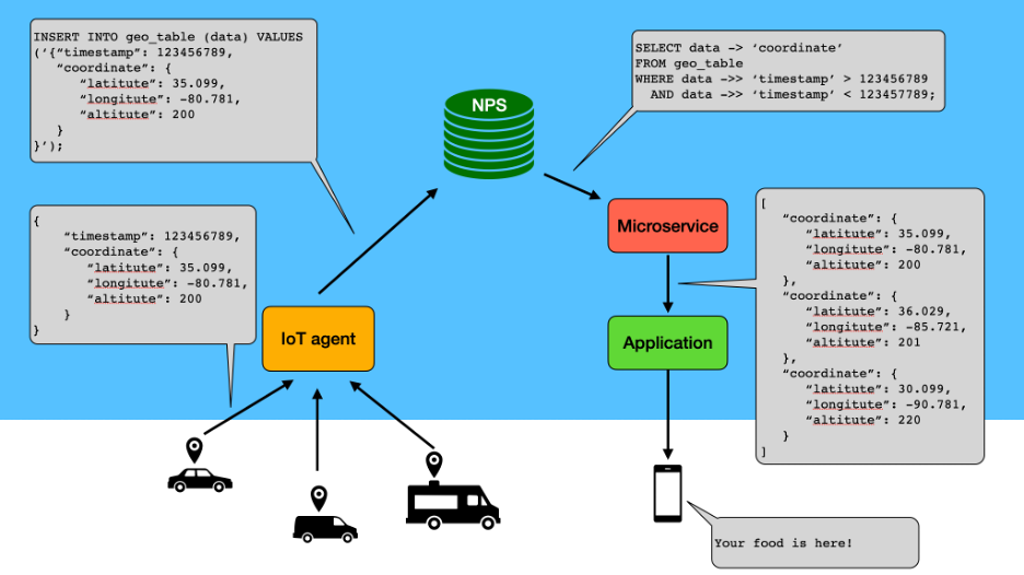 Screen shot of Netezza Performance Server software.