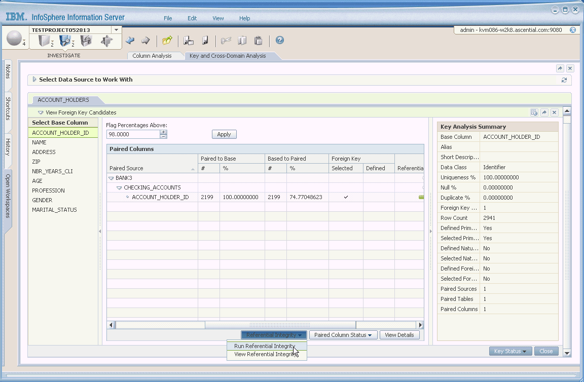 Picture of IBM Infosphere Information Analyzer tools.