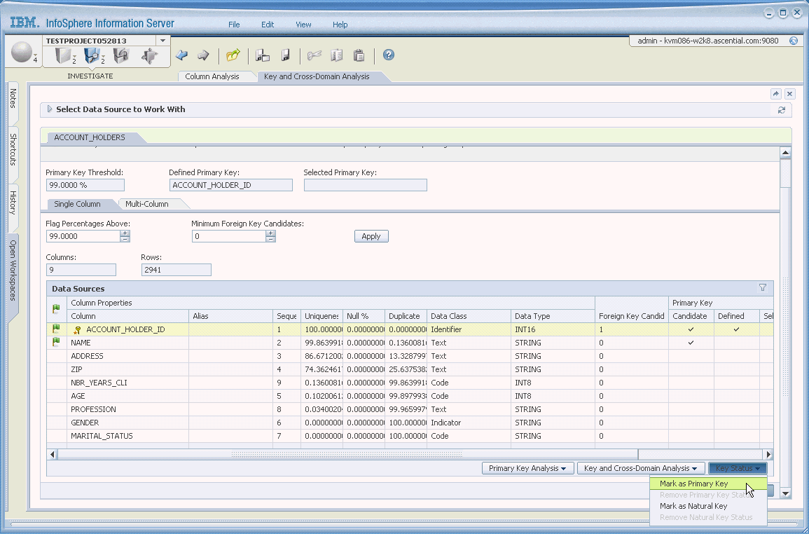 Infosphere Information Analyzer in action