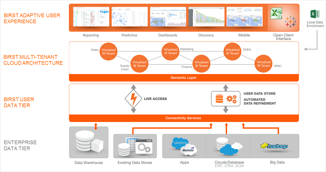 Picture of Birst Sales Analytics tools.