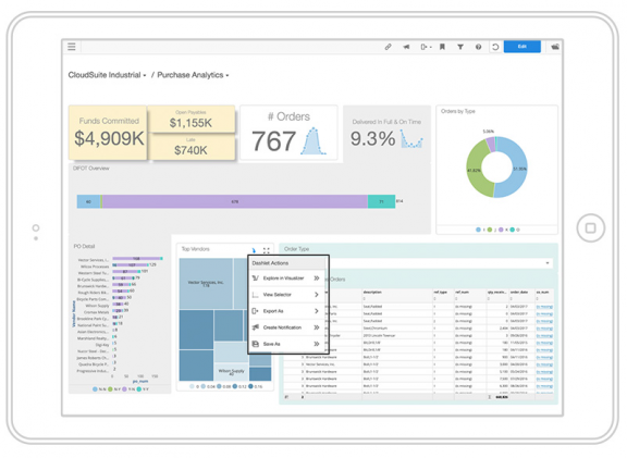 Picture of Infor BI tools.