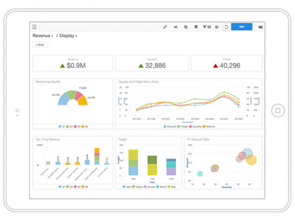 Screen shot of Infor Business Analytics software.