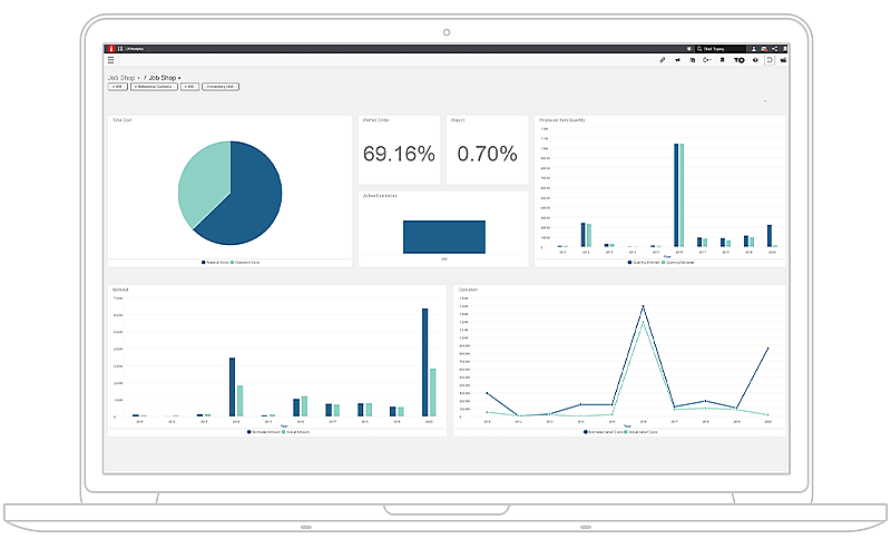 Picture of Infor Business Analytics tools.