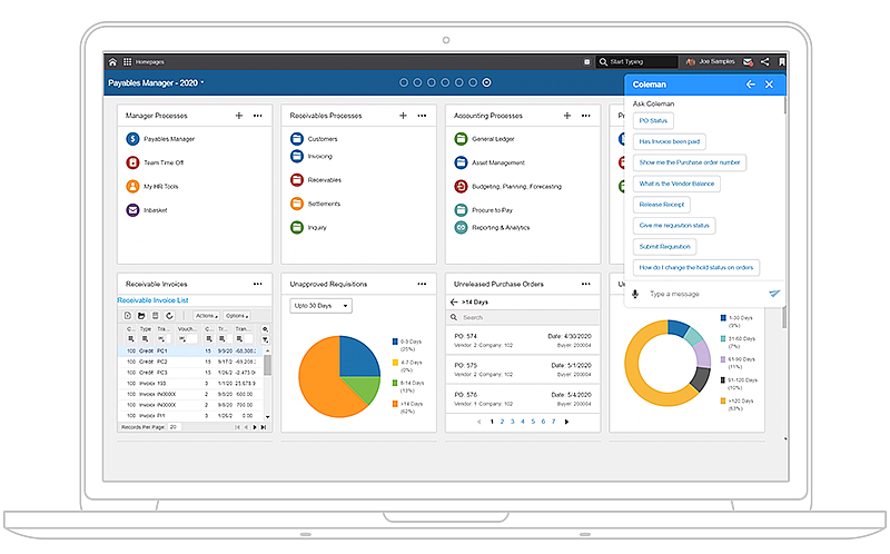 Infor Business Vault in action