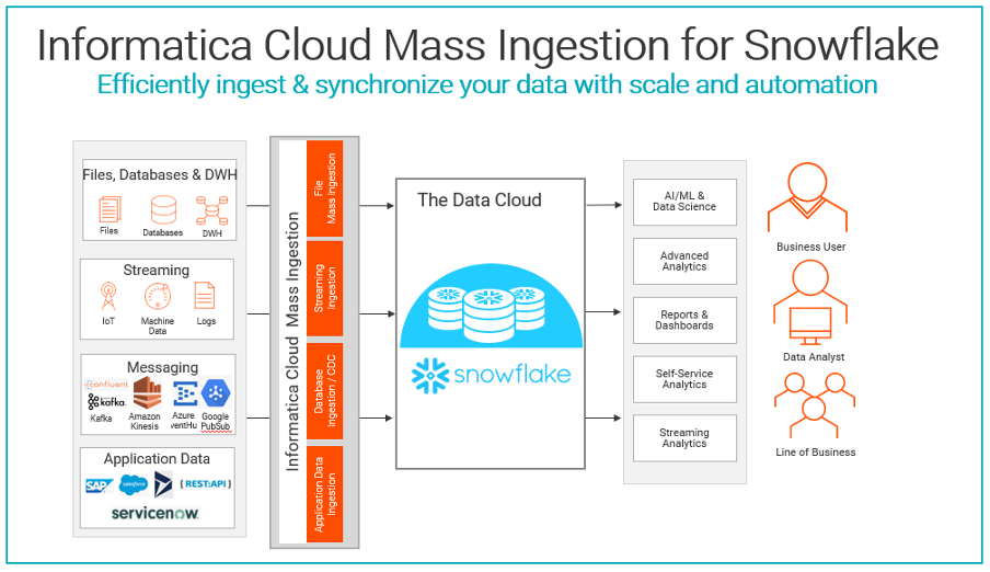 Screen shot of Informatica Cloud Data Profiling software.
