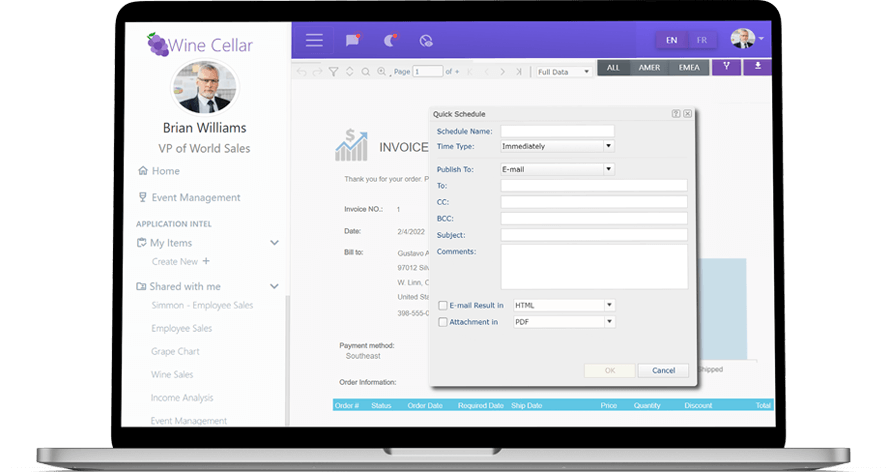 Picture of Logi Analytics Platform tools.