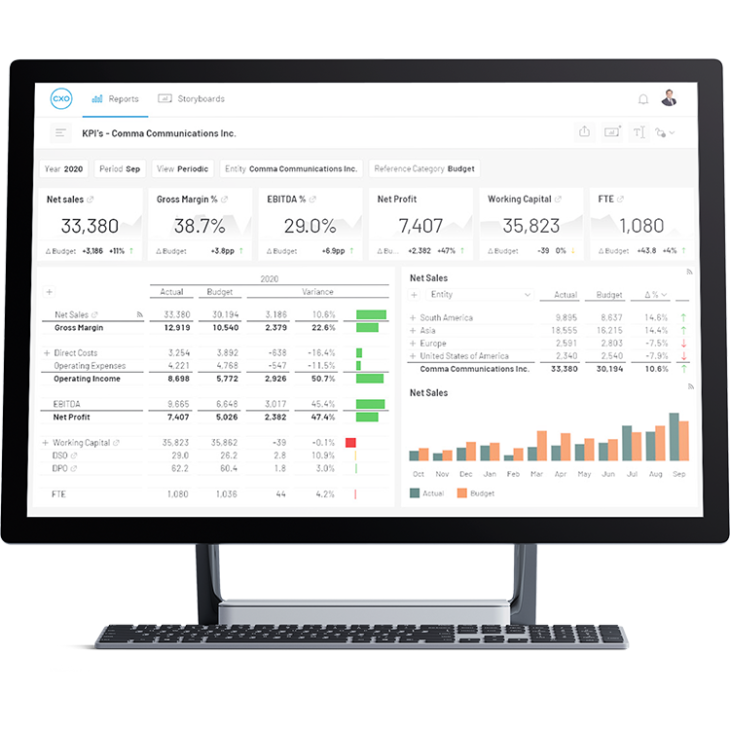 Screen shot of Logi Report Server software.