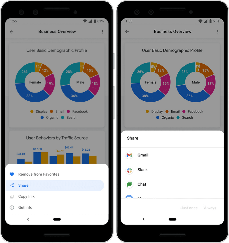 Screen shot of Looker mobile software.
