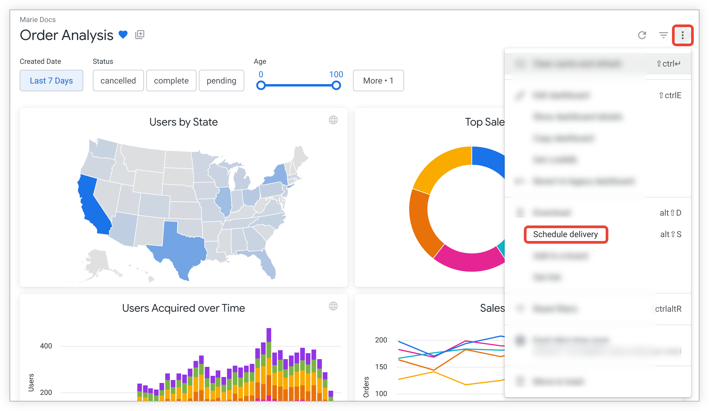 Screen shot of Looker Server software.