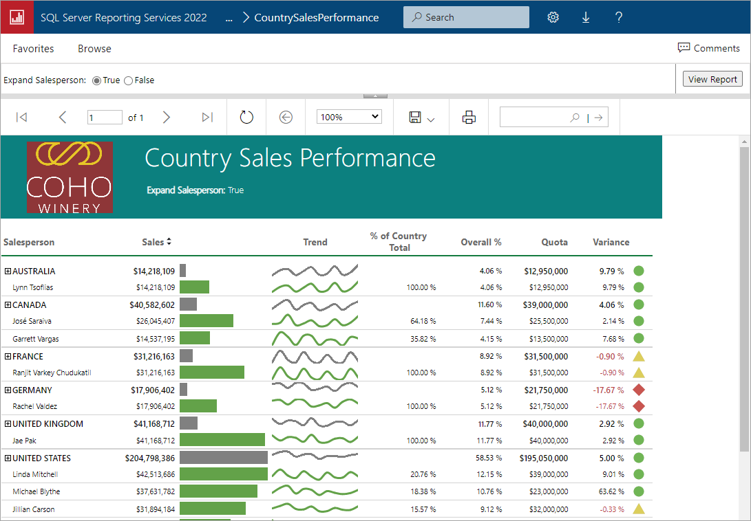 Screen shot of SQL Server Reporting Services software.