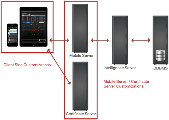 Screen shot of MicroStrategy Mobile Server software.