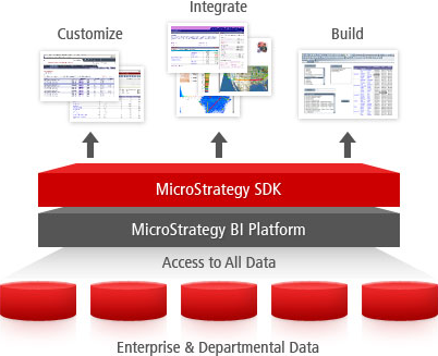 Screen shot of MicroStrategy ONE software.