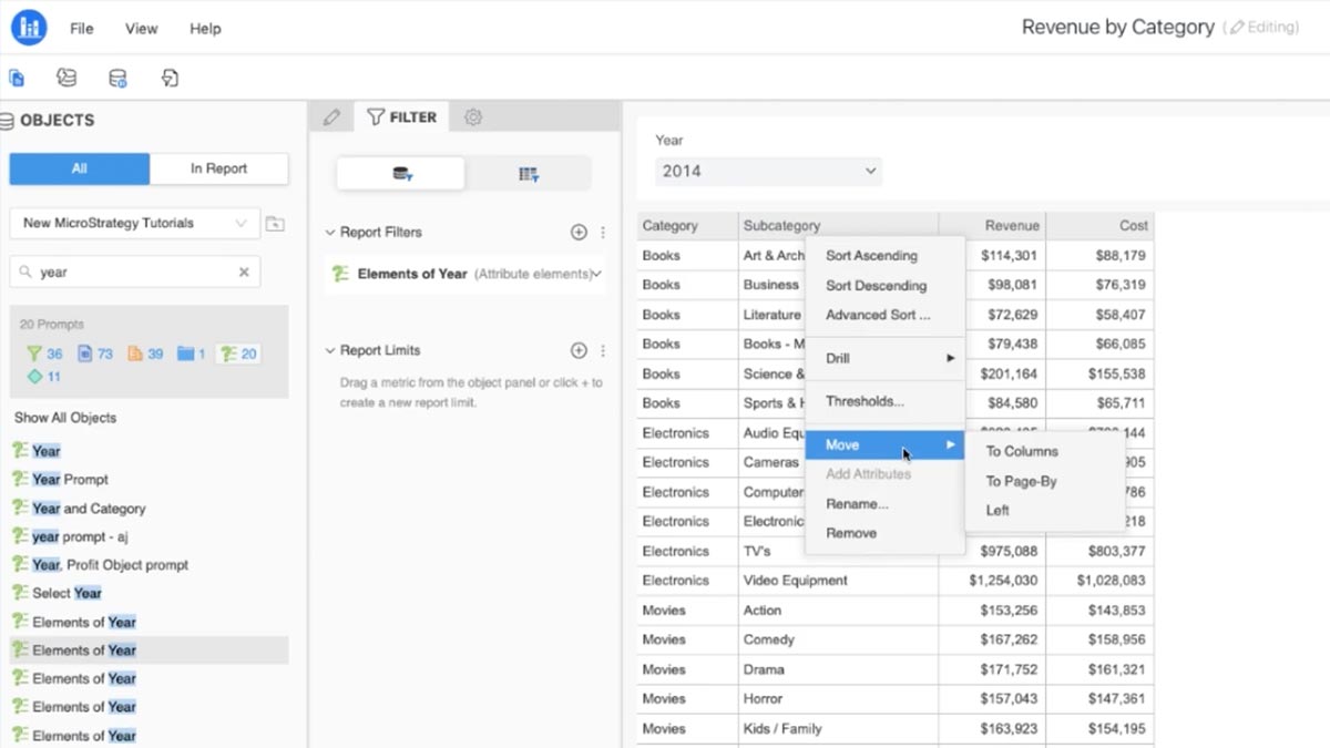 Screen shot of MicroStrategy Report Services software.