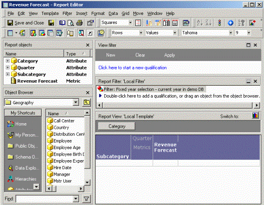 Screen shot of MicroStrategy Web Report Editor software.