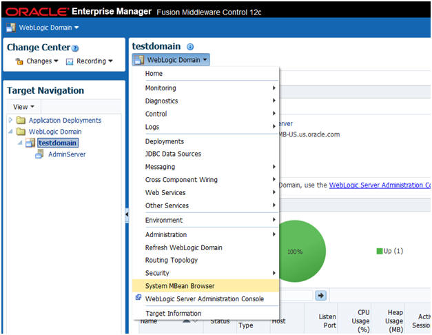 OBIEE in action