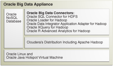Oracle Big Data Appliance in action