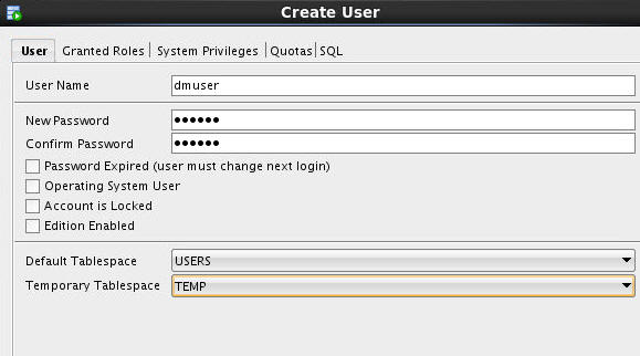 Oracle Data Miner in action