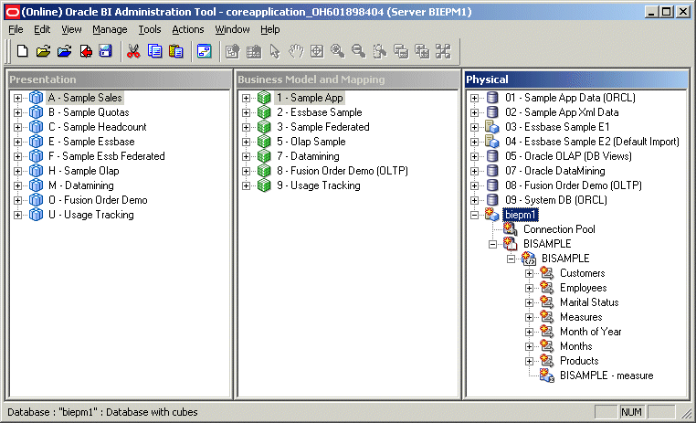 Screen shot of Oracle Essbase software.