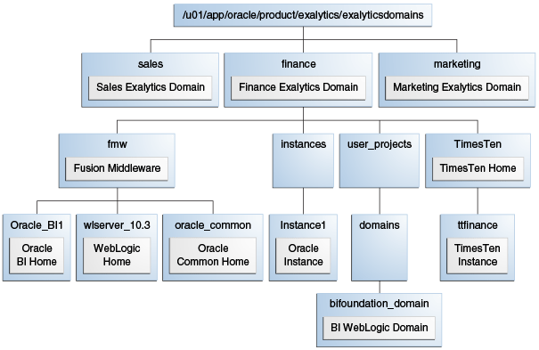Picture of Oracle Exalytics tools.