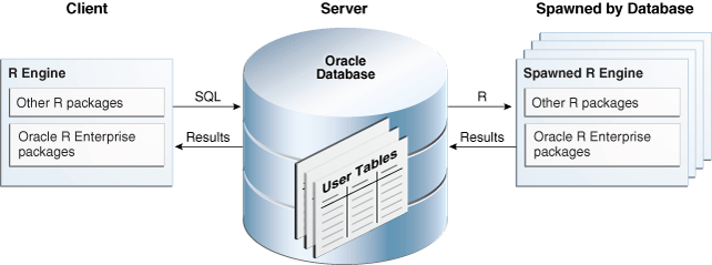 Picture of Oracle R Enterprise tools.