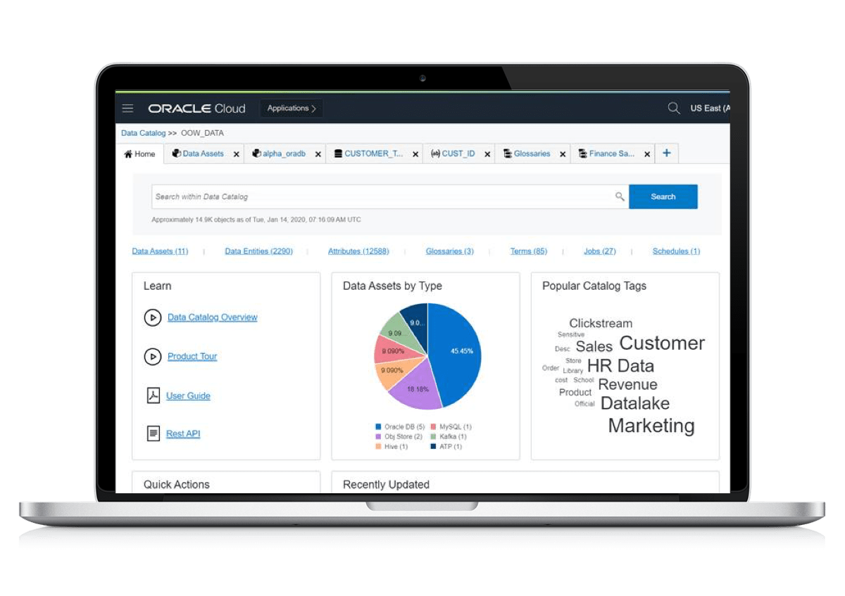 Oracle Data Catalog in action