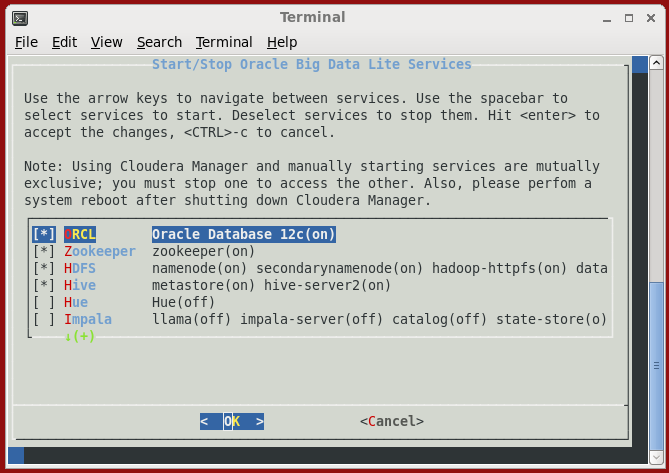 Picture of Oracle Data Integration tools.