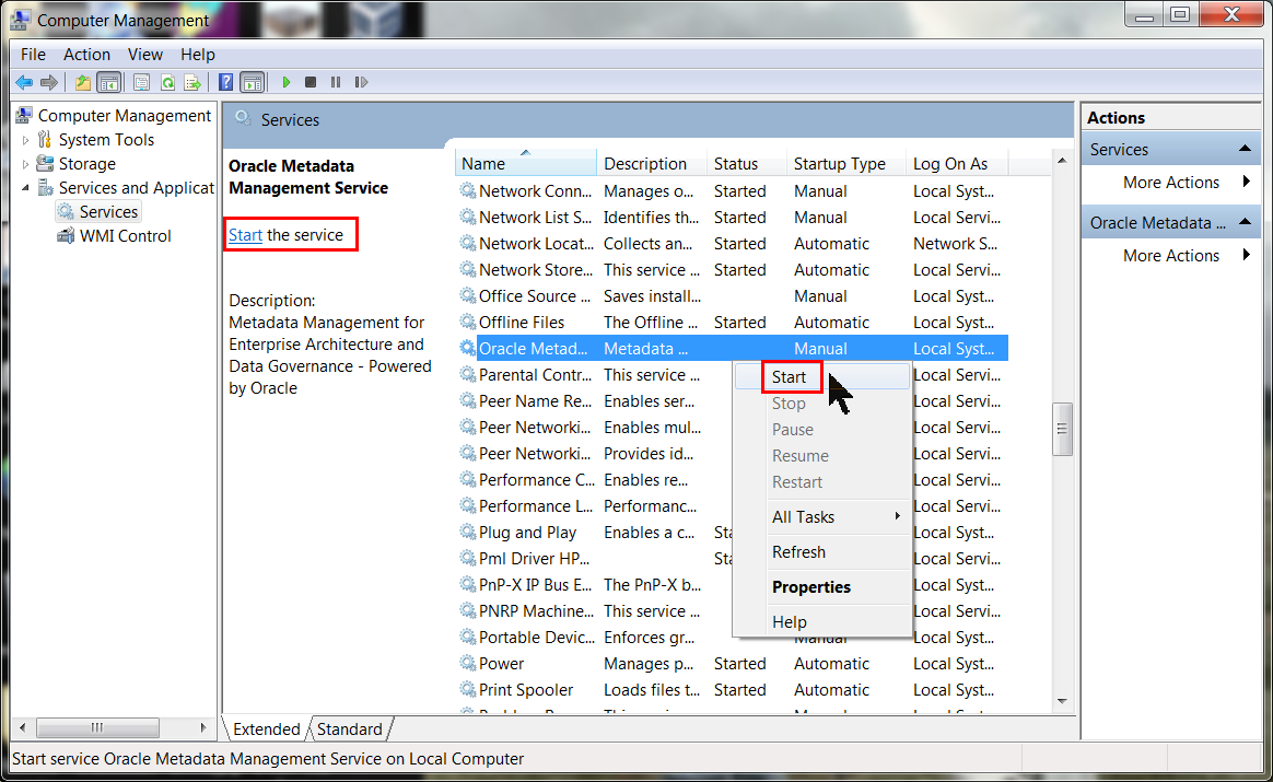 Oracle Metadata Management in action