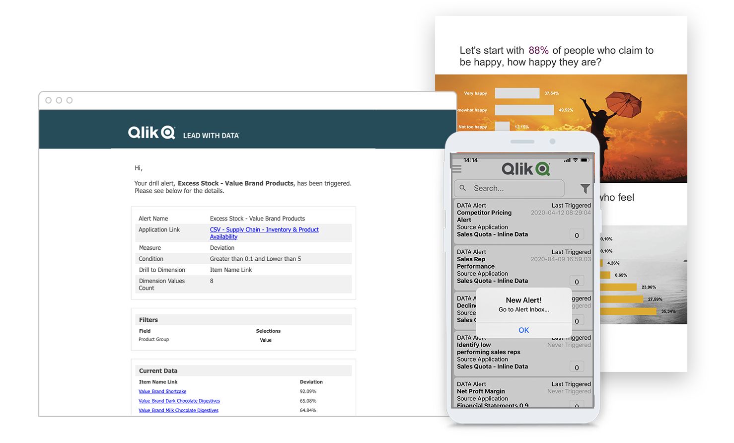Screen shot of Qlik Reporting Service software.
