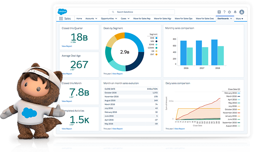 Screen shot of Salesforce CRM software.