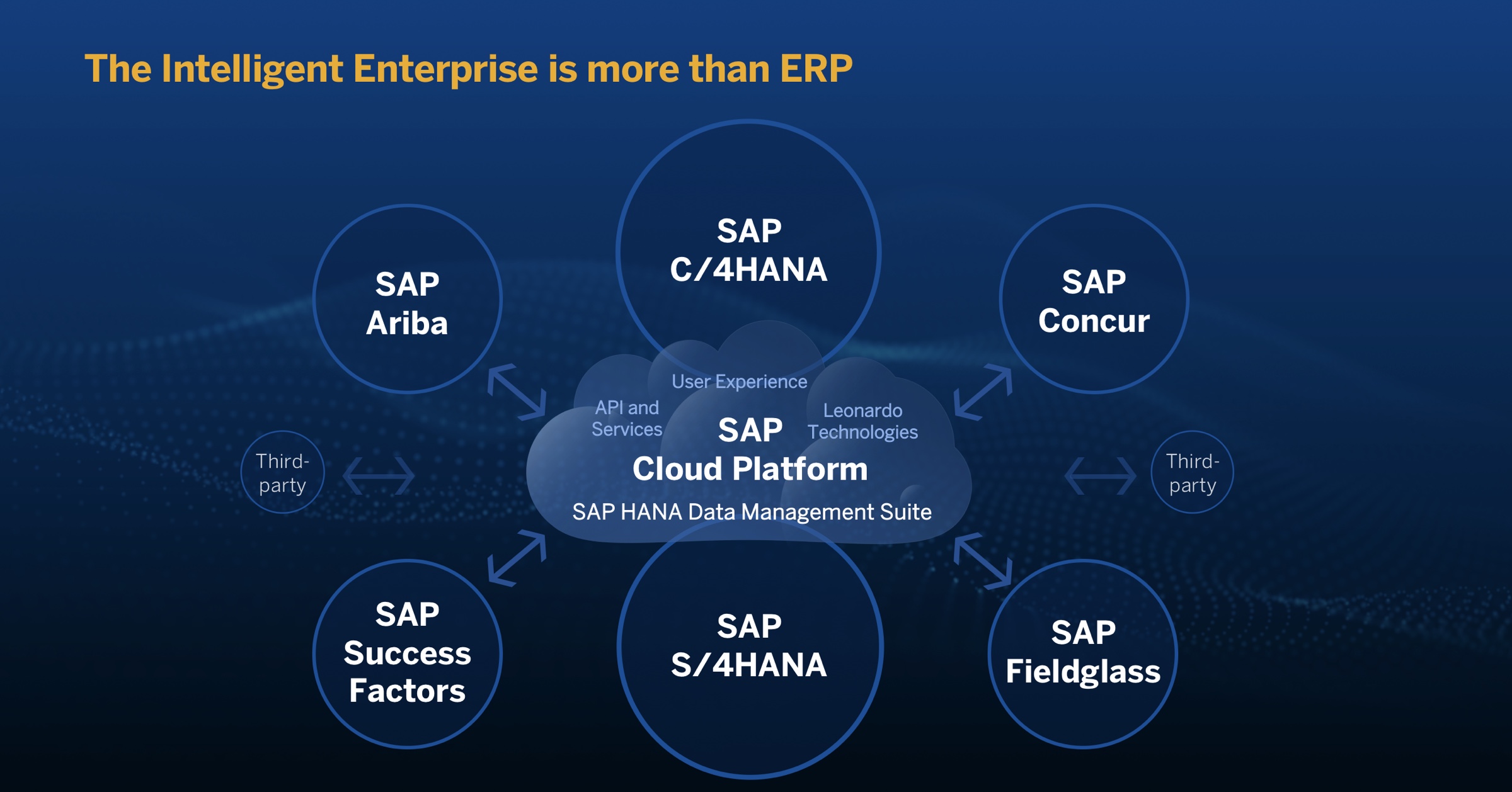 Picture of SAP BI Platform tools.