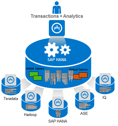 Screen shot of SAP Big Data software.