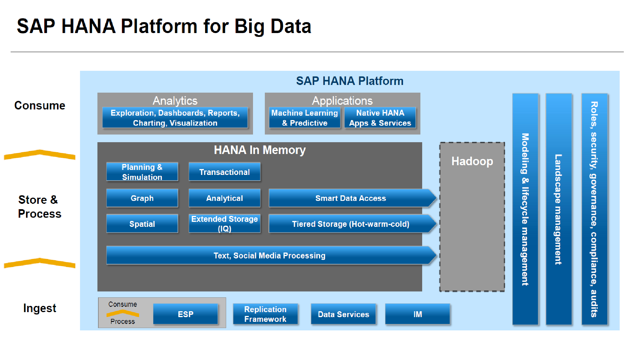 Picture of SAP Big Data tools.