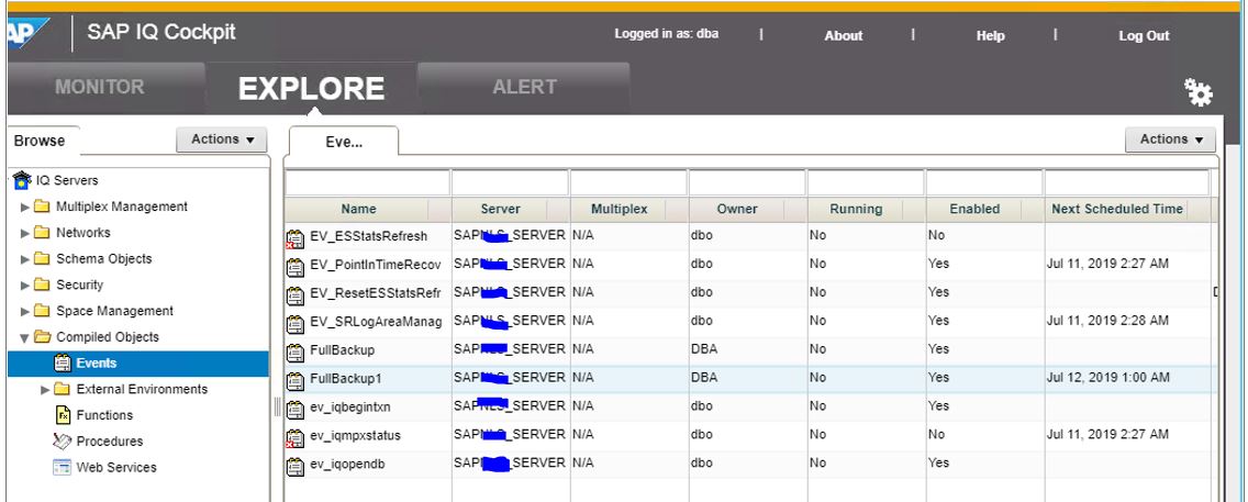 Screen shot of SAP IQ software.