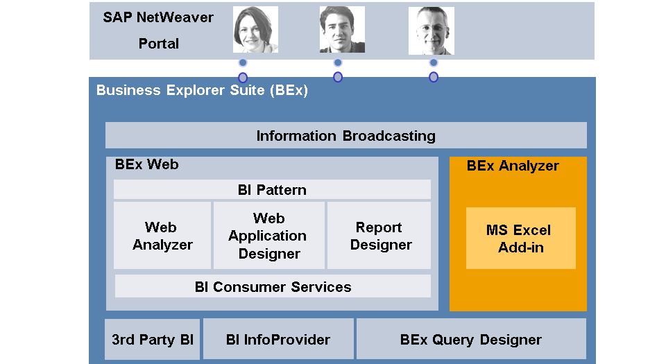 Screen shot of SAP BEx software.