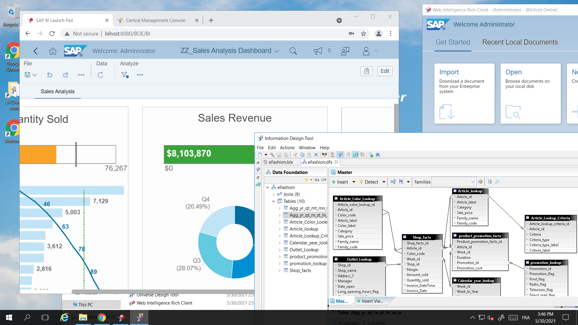 SAP BI Platform in action